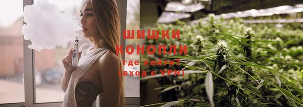 spice Алзамай