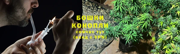 spice Алзамай