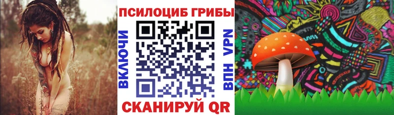 Псилоцибиновые грибы мицелий  Черемхово 