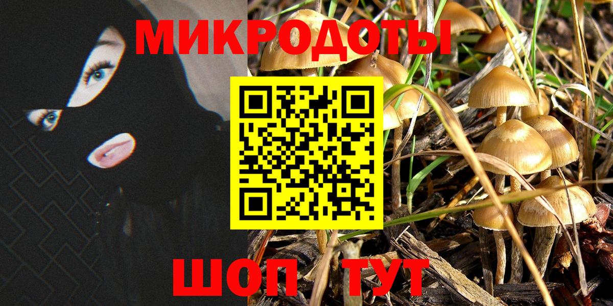 Черемхово  Псилоцибиновые грибы MAGIC MUSHROOMS  где продают   Вход с VPN 