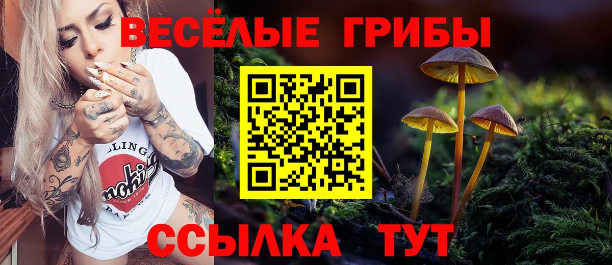 Галлюциногенные грибы Magic Shrooms Черемхово